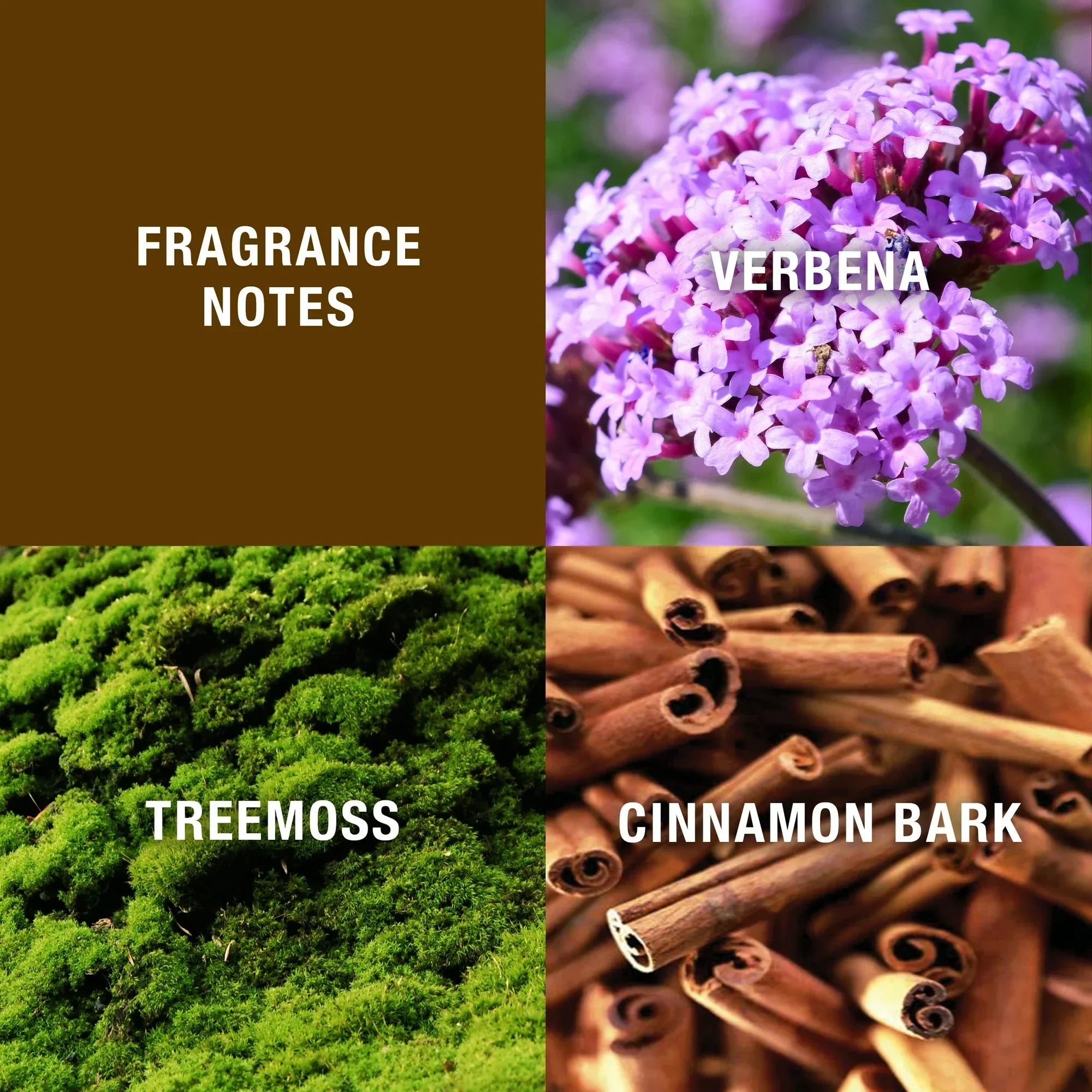 Wholesale Price with free shipping across the USA for HALSTON 3PC GIFT SET - Manji Distributors