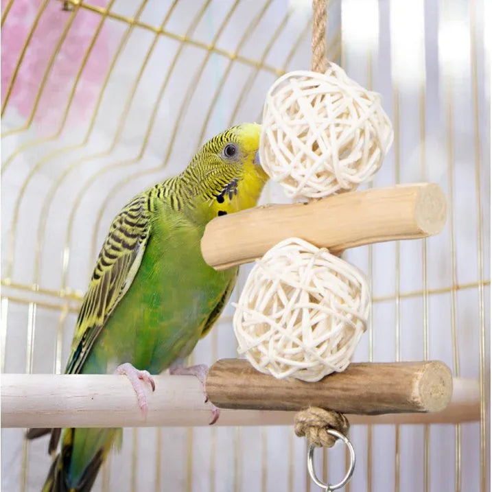 Wholesale Price with free shipping across the USA for (2 pack) Wild Harvest Natural Multi Color Bird Toy , 1 Ct - Manji Distributors