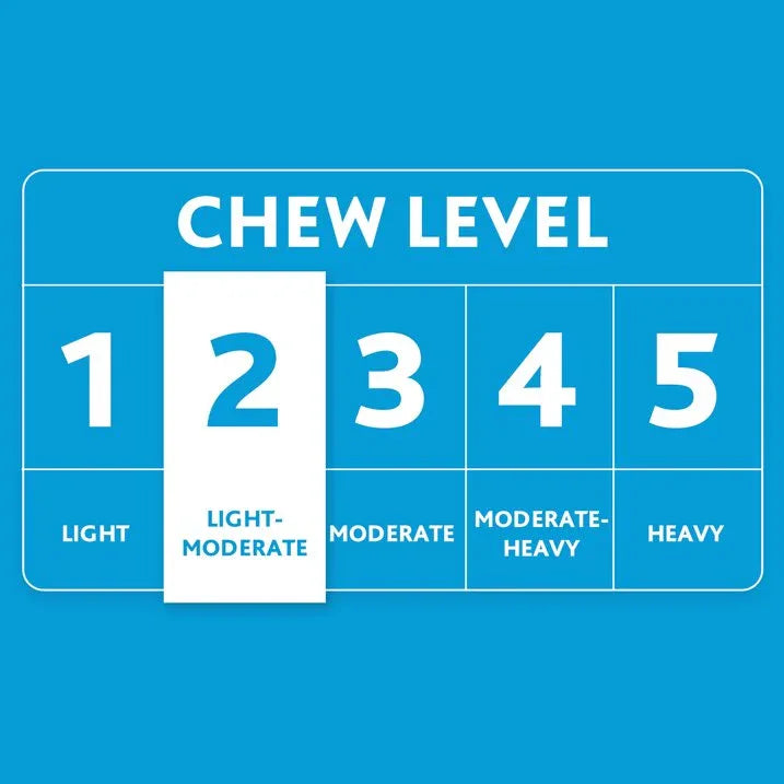 Wholesale Price with free shipping across the USA for Vibrant Life Cozy Buddy 11.5 inch Longhorn Cow Squeaky Plush Dog Toy - Manji Distributors