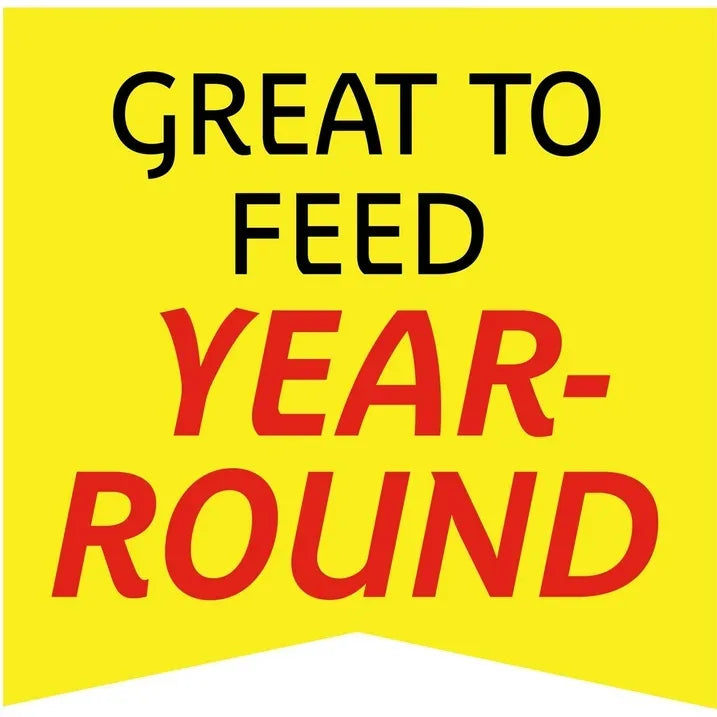 Wholesale Price with free shipping across the USA for Pennington Select Wild Finch Blend, Dry Wild Bird Seed and Feed, 10 lb., 1 Pack - Manji Distributors