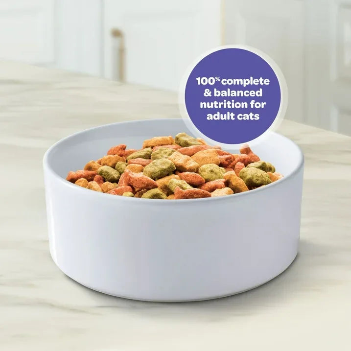 Wholesale Price with free shipping across the USA for 9Lives Indoor Complete Chicken & Salmon Flavor Dry Cat Food, 20 lb. Bag - Manji Distributors