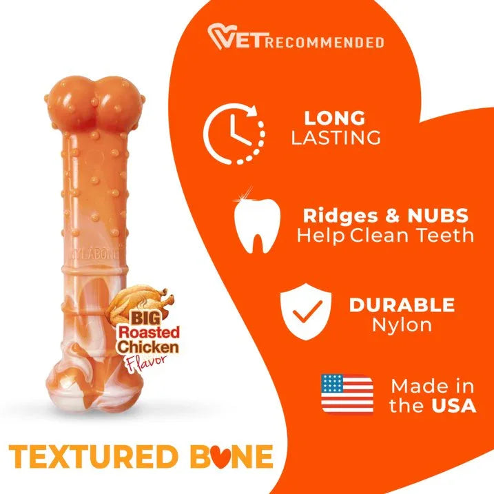 Wholesale Price with free shipping across the USA for Nylabone Power Chew Textured Bone Dog Chew Toy 70th Birthday Orange Swirl Chicken Medium (1 Count) - Manji Distributors