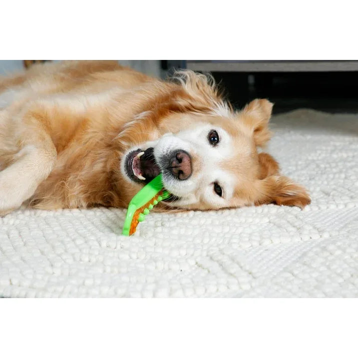Wholesale Price with free shipping across the USA for Hartz Chew 'n Clean Dental Duo Dog Toy, Large, Color May Vary - Manji Distributors