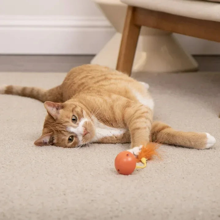 Wholesale Price with free shipping across the USA for SmartyKat Tip ‘N Dip – Interactive Cat Toy with Feathers and Wobble Action, Orange - Manji Distributors