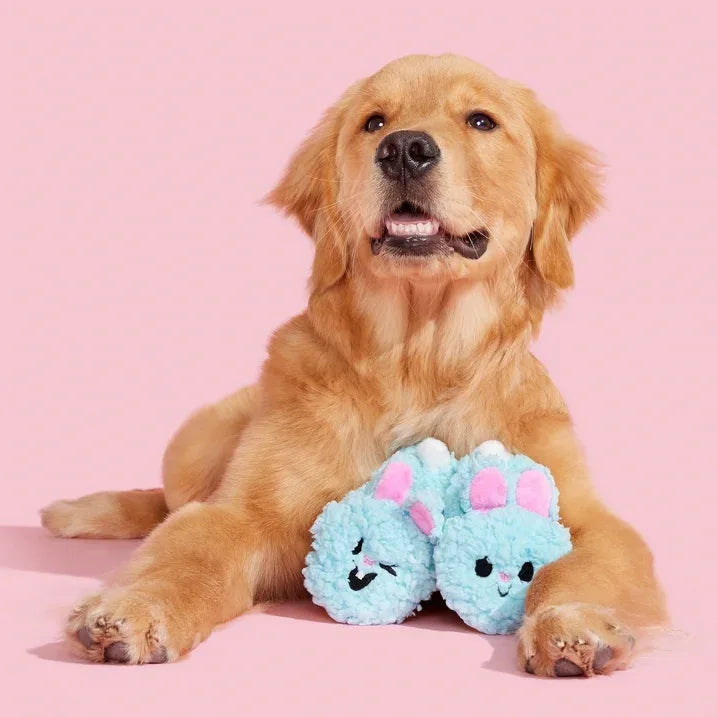 Wholesale Price with free shipping across the USA for BARK Yippy & Skippy Slippies Plush Dog Toys with Squeakers and Crazy Crinkle, for XS to Small Dogs - Manji Distributors