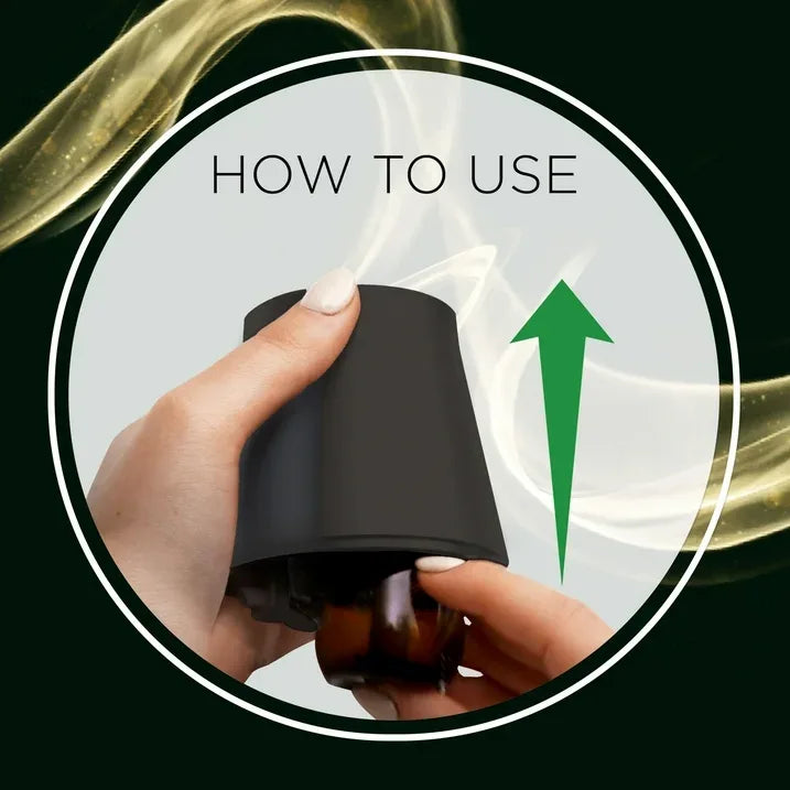 Wholesale Price with free shipping across the USA for (3 pack) Air Wick Essential Mist Vibrant Scented Oil Air Freshener Diffuser Refill, Harvest Pumpkin and Spice, 1 Count - Manji Distributors