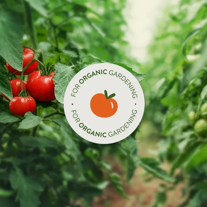 Wholesale Price with free shipping across the USA for Garden Safe Fungicide 3 Concentrater, 28 oz, Controls Fungus & Insects - Manji Distributors