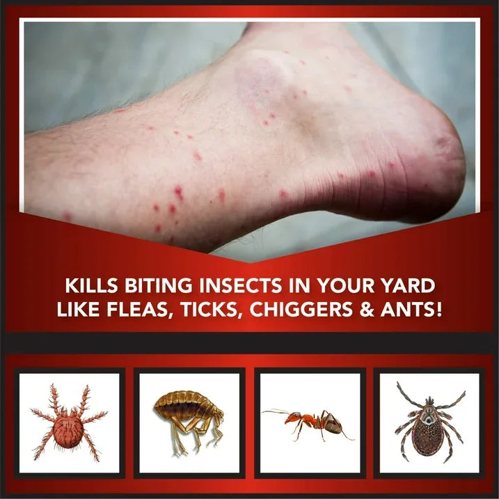 Wholesale Price with free shipping across the USA for Eliminator Ant, Flea & Tick Killer Plus Lawn Insect Granules, 20lb - Manji Distributors