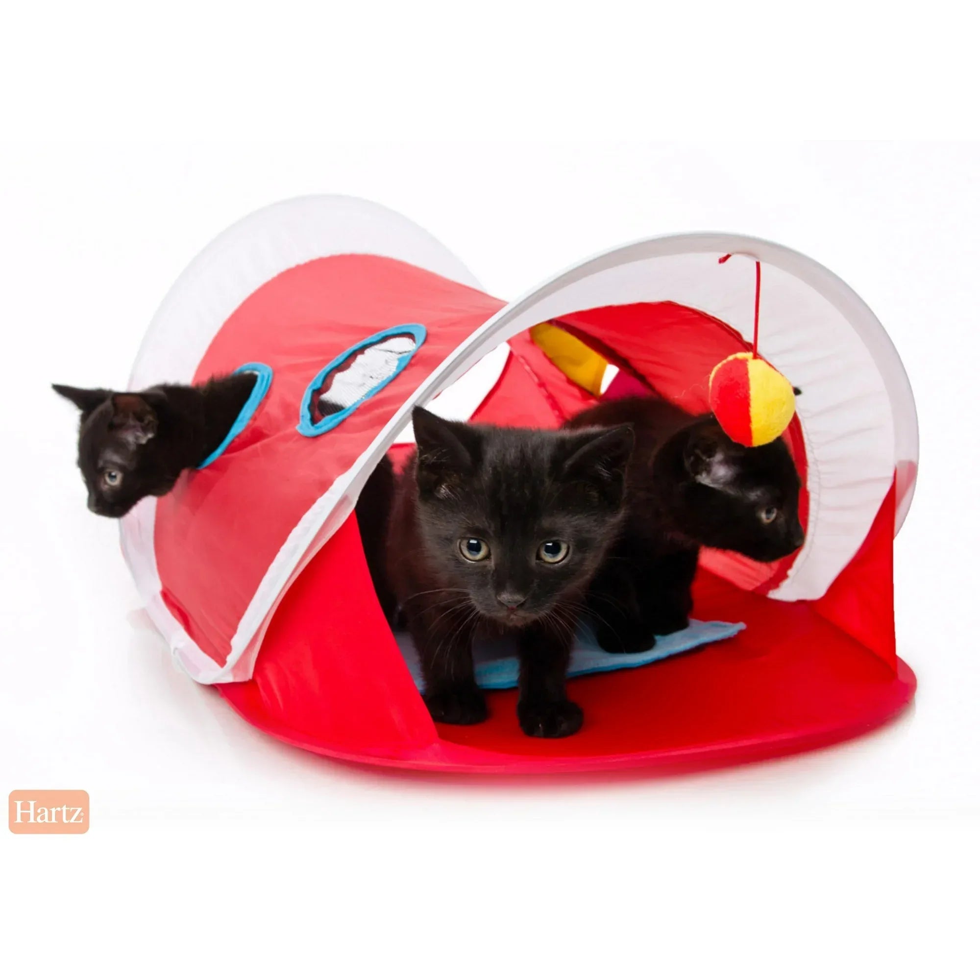 Wholesale Price with free shipping across the USA for Hartz Just For Cats Peek and Play Pop-Up Tent Cat Toy - Manji Distributors