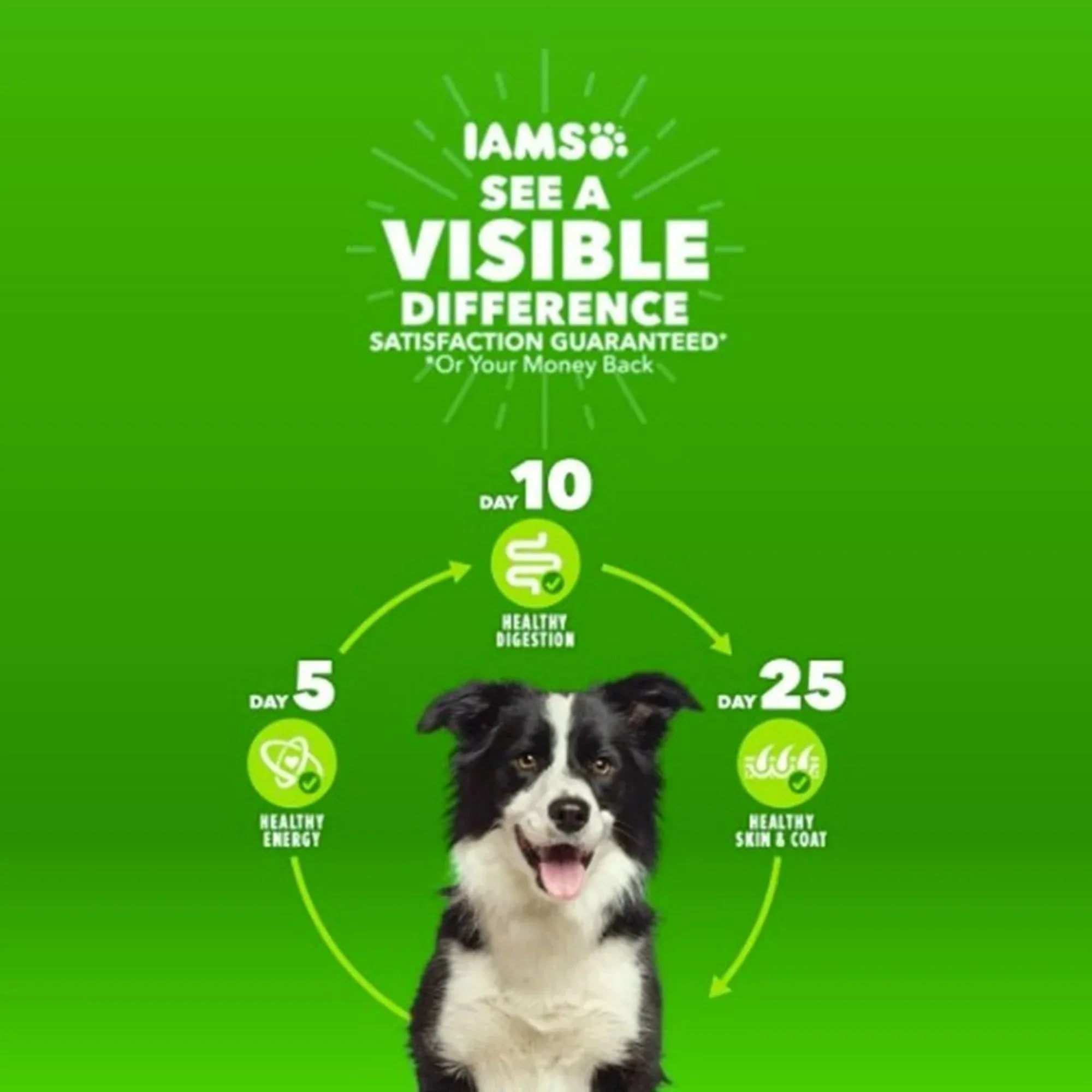 Wholesale Price with free shipping across the USA for Iams Proactive Health Chicken And Whole Grains Flavor For Large Breed Dry Dog Food, 40 Lb Bag - Manji Distributors