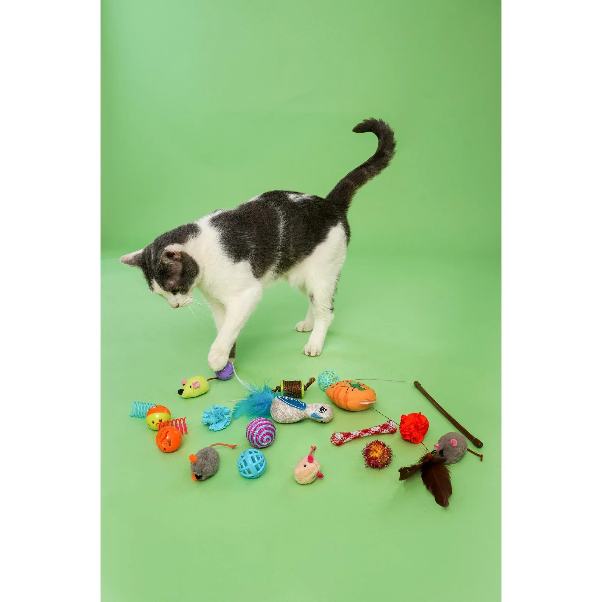 Wholesale Price with free shipping across the USA for Hartz Cattraction Cat Toy Variety Pack with Silver Vine & Catnip, 20 Count - Manji Distributors