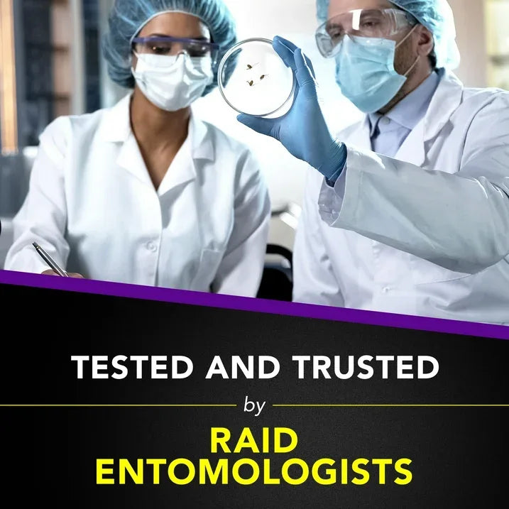 Wholesale Price with free shipping across the USA for (2 pack) Raid Flea Killer Plus Carpet & Room Spray, Bug Spray Kills Fleas & Flea Eggs, 16 oz - Manji Distributors