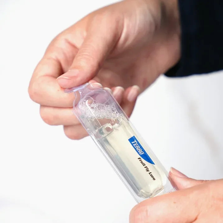 Wholesale Price with free shipping across the USA for (2 pack) TERRO Fruit Fly Trap, 2 Pack - Manji Distributors