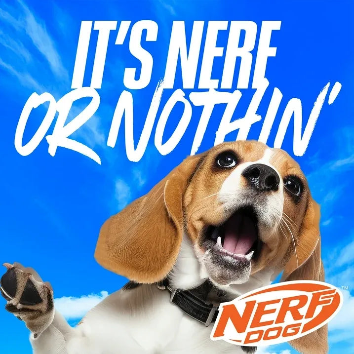 Wholesale Price with free shipping across the USA for Nerf Dog Nylon Digital Camo Crinkle Wing Duck Launching Fetch Dog Toy, Orange/Blue, 16.5 inch - Manji Distributors