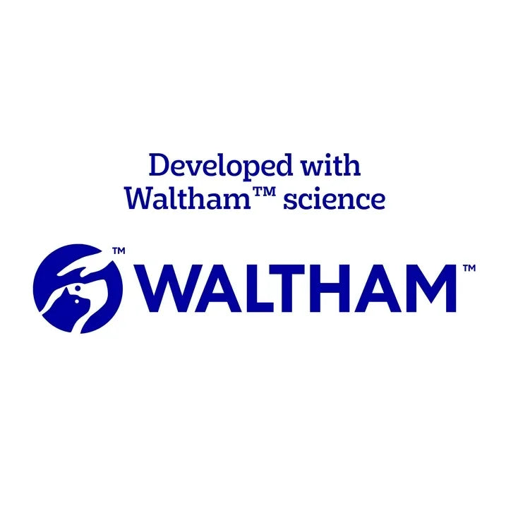 Wholesale Price with free shipping across the USA for Pedigree With Tender Bites Complete Nutrition Adult Small Breed Dry Dog Food, Chicken & Steak Flavor, 3.5 Lb Bag - Manji Distributors