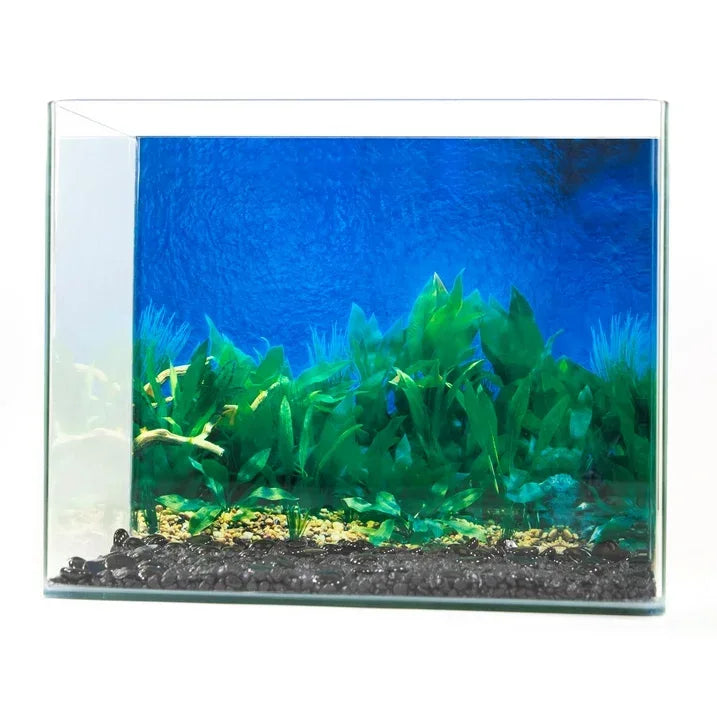 Wholesale Price with free shipping across the USA for Tide & Treasure Double Sided Aquarium Background, Aquatic Plant And Solid Blue, up to 29 Gallon Tank - Manji Distributors