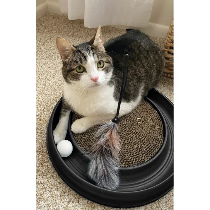 Wholesale Price with free shipping across the USA for Morovilla Turbo Interactive Scratcher Cat Toy Colors May Vary - Manji Distributors