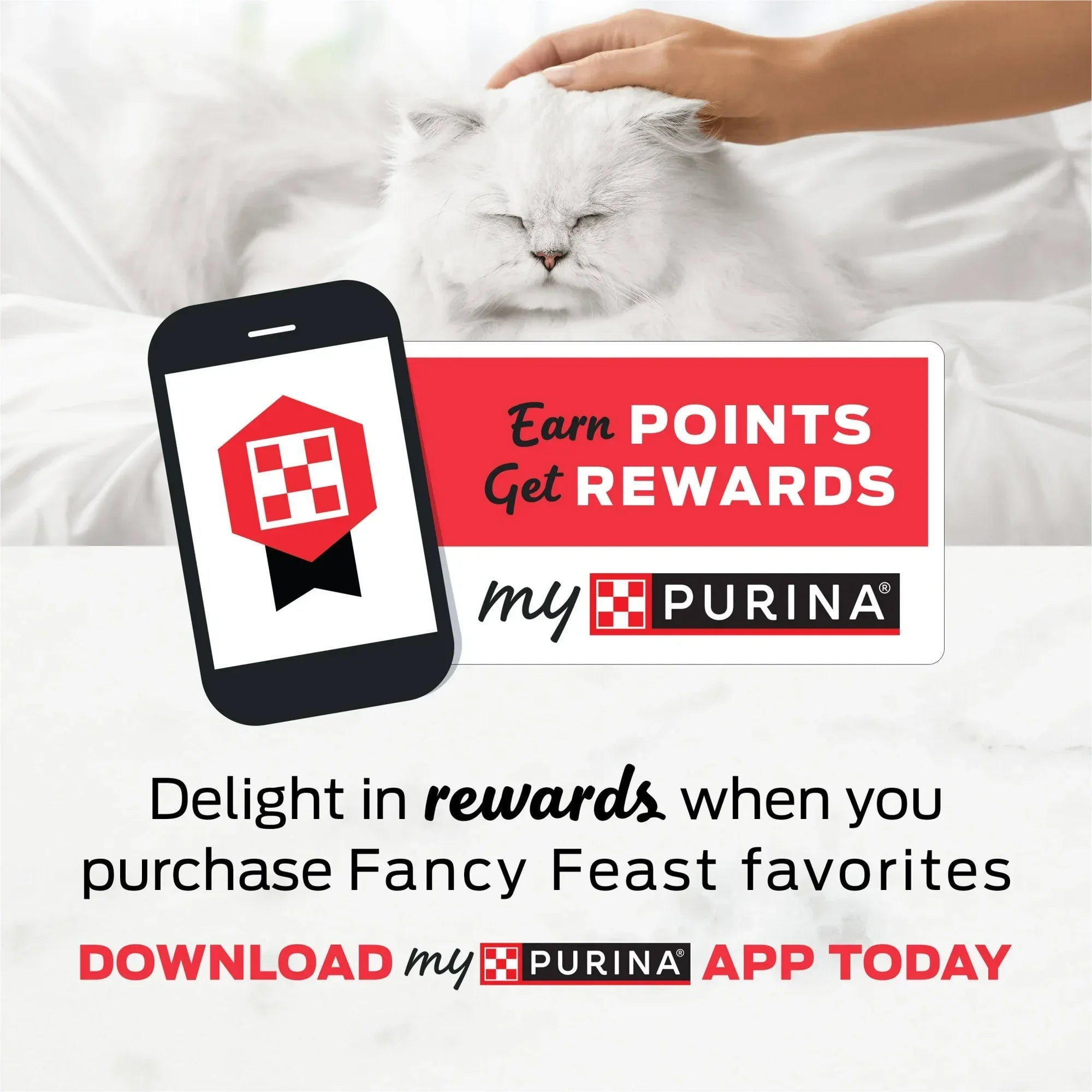 Wholesale Price with free shipping across the USA for (12 pack) Purina Fancy Feast Petites With Roasted Turkey Entrée with Sweet Potato in Gravy Gourmet Wet Cat Food Pate - Manji Distributors