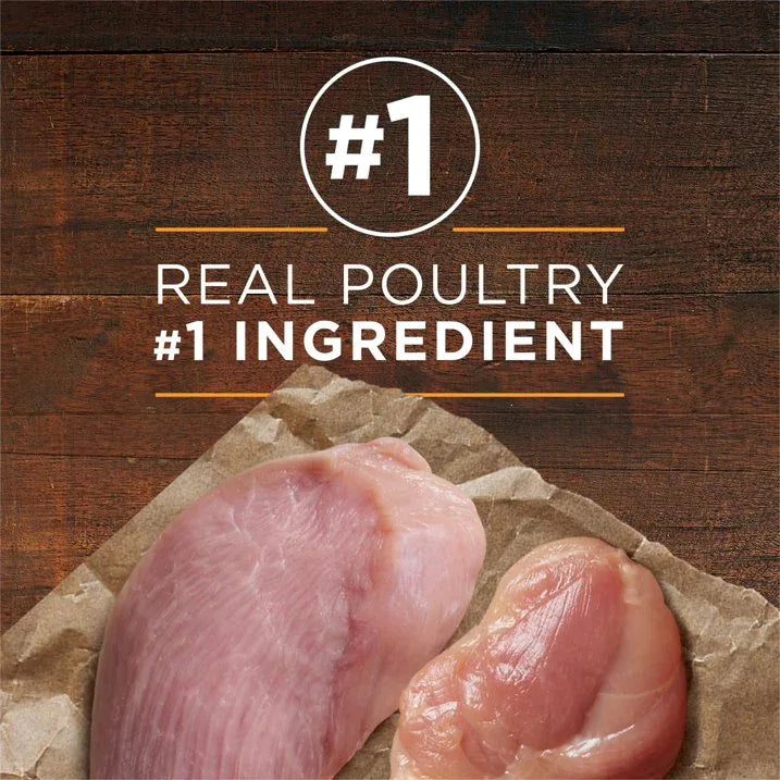 Wholesale Price with free shipping across the USA for (4 pack) Purina ONE True Instinct Classic Ground Grain-Free Formulas With Real Turkey and Venison, and With Real Chicken and Duck Wet High Protein Dog Food Variety Pack - Manji Distributors