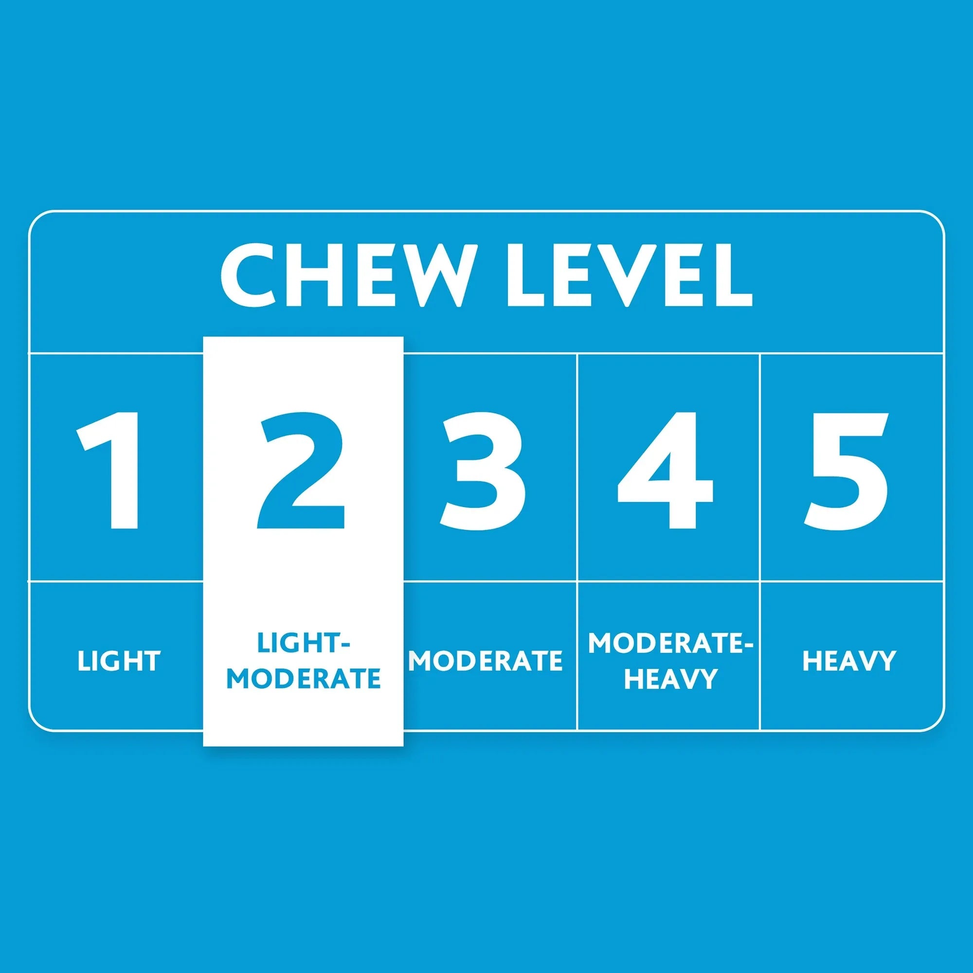 Wholesale Price with free shipping across the USA for Vibrant Life Cozy Buddy Hedgehog Squeaky Dog Toy - Manji Distributors