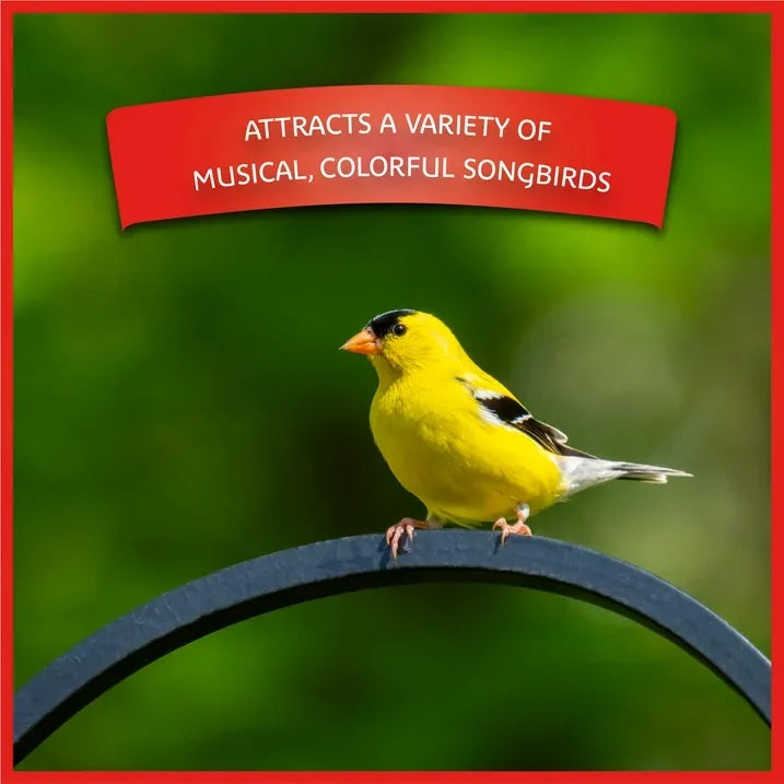 Wholesale Price with free shipping across the USA for Pennington Select Birder's Blend, Wild Bird Seed and Feed, 14 lb. Bag, 1 Pack, Dry - Manji Distributors