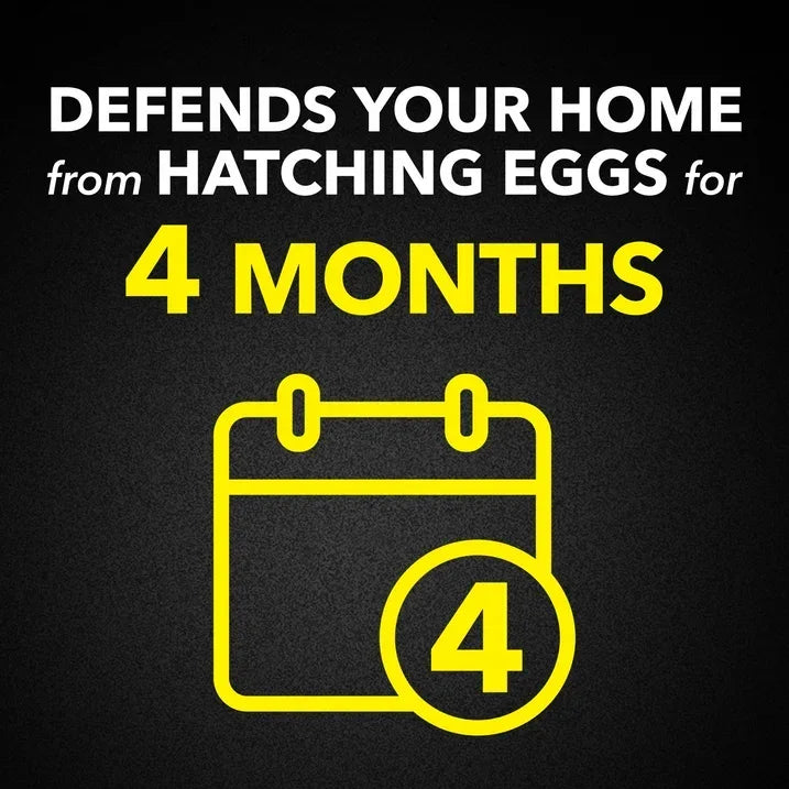 Wholesale Price with free shipping across the USA for (2 pack) Raid Flea Killer Plus Carpet & Room Spray, Bug Spray Kills Fleas & Flea Eggs, 16 oz - Manji Distributors