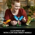 Wholesale Price with free shipping across the USA for LEGO Ideas The Insect Collection, Fun Gift for Nature Lovers, with Life-Size Blue Morpho Butterfly, Hercules Beetle and Chinese Mantis Display Models, Bug Building Set and Nature Décor, 21342 - Manji Distributors