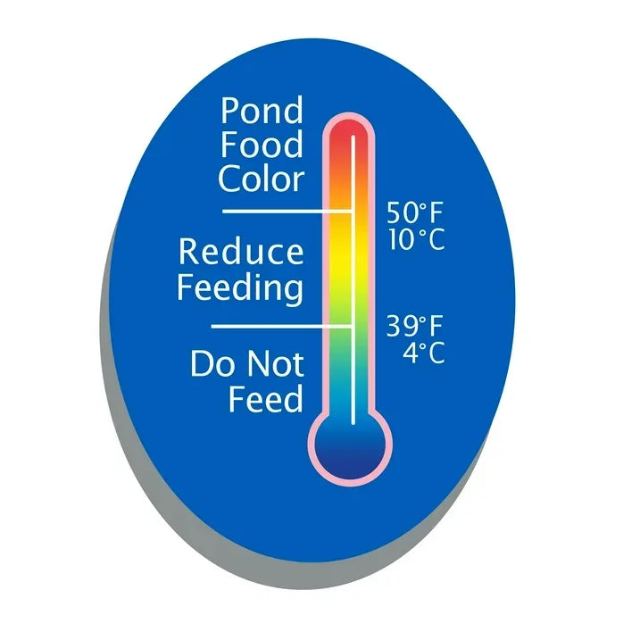 Wholesale Price with free shipping across the USA for TetraPond PondFood Color Flakes, Color-Enhancing Flaked Fish Food for Small Ponds, 6 Oz. - Manji Distributors