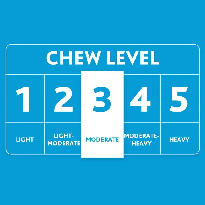 Wholesale Price with free shipping across the USA for Vibrant Life Playful Buddy Large 4 Knot Rope Chew Toy, Green - Manji Distributors