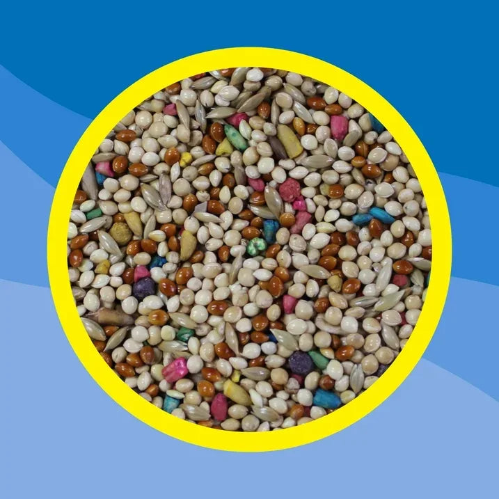 Wholesale Price with free shipping across the USA for 3-D Pet Products Premium Parakeet Bird Food, with Probiotics, 7.5 lb. Zipper Seal Bag, for Daily Feeding - Manji Distributors