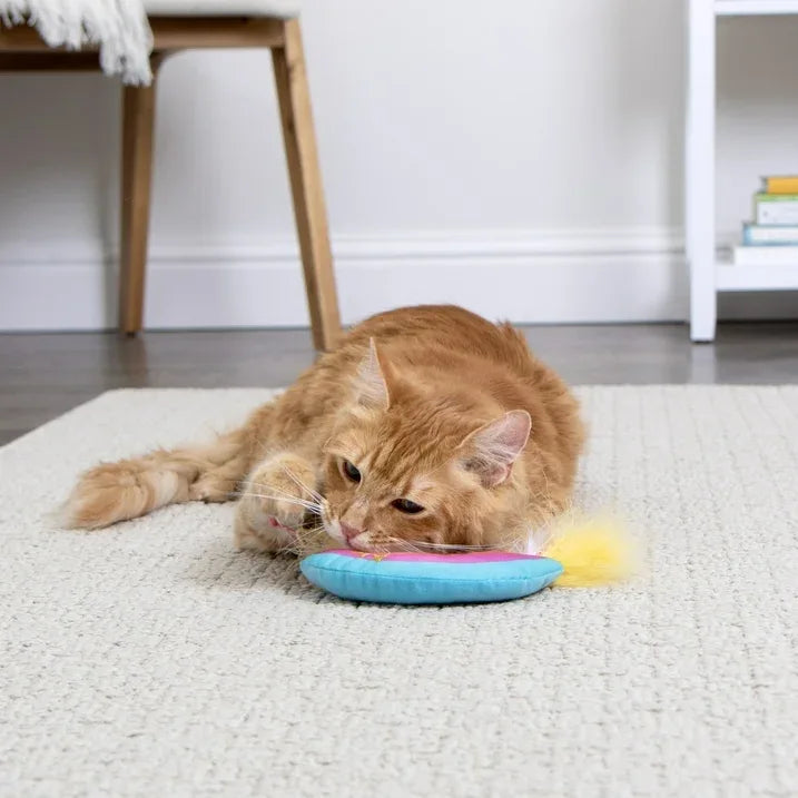 Wholesale Price with free shipping across the USA for SmartyKat Rainbow Ruckus Catnip Kicker Cat Toy with Raffia & Feathers, Multi-Color - Manji Distributors