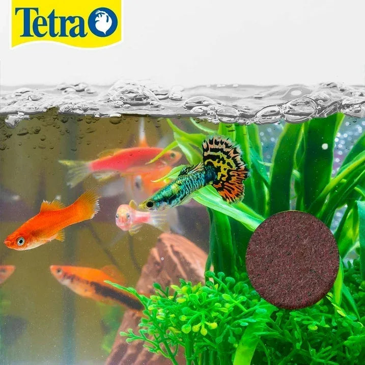 Wholesale Price with free shipping across the USA for (4 pack) Tetra Vacation Tropical Feeding Block, Feeds Fish up to 14 Days, 1.06 oz., 1 Block - Manji Distributors