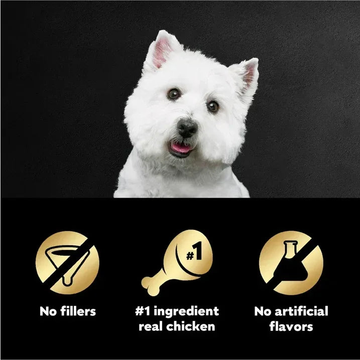 Wholesale Price with free shipping across the USA for (8 pack) Cesar Pouch Filets In Gravy Rotisserie Chicken Flavor Wet Dog Food, 1.76 Oz. Pouch, 1 Ct - Manji Distributors