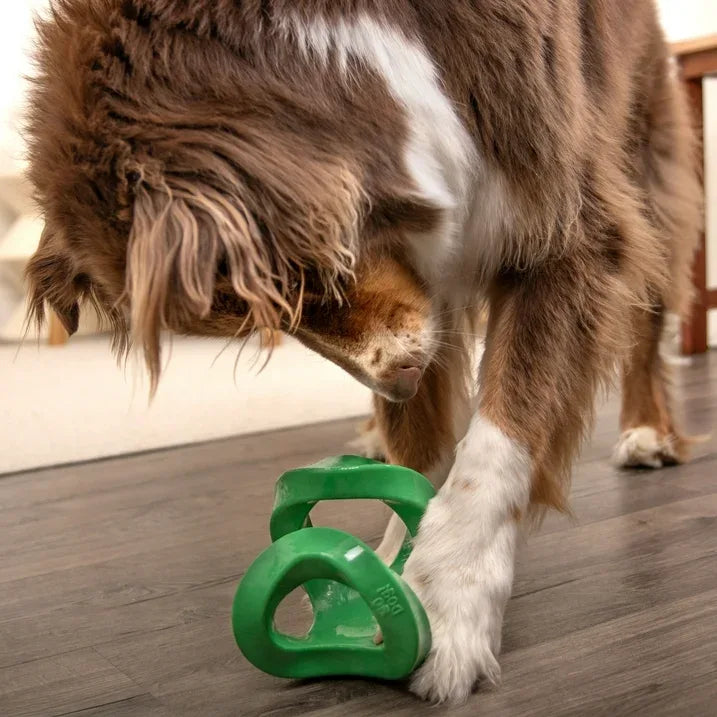 Wholesale Price with free shipping across the USA for goDog Magic Motion Twisty Tosser Toy for Dogs with Chew Guard Technology for Stronger & Longer Play, Tough & Durable, Built-In Squeaker, Green, Large - Manji Distributors