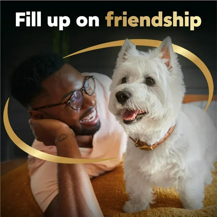 Wholesale Price with free shipping across the USA for (8 pack) Cesar Pouch Filets In Gravy Rotisserie Chicken Flavor Wet Dog Food, 1.76 Oz. Pouch, 1 Ct - Manji Distributors