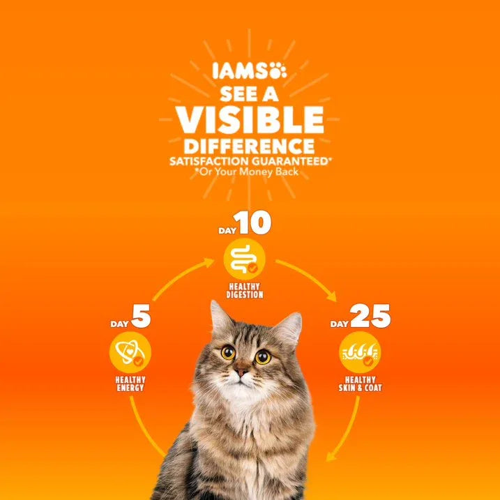 Wholesale Price with free shipping across the USA for Iams Proactive Health Turkey Dry Cat Food, 6 Lb Bag - Manji Distributors