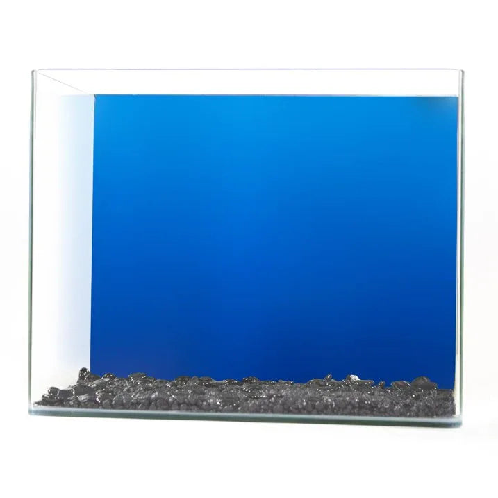Wholesale Price with free shipping across the USA for Tide & Treasure Double Sided Aquarium Background, Aquatic Plant And Solid Blue, up to 29 Gallon Tank - Manji Distributors