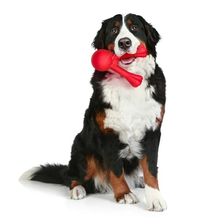 Wholesale Price with free shipping across the USA for Play by Playology Dog Toys | Interactive Dog Toy Stick | Scented Fetch Toy Branch, Large - Manji Distributors