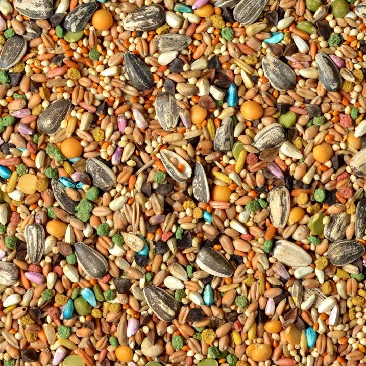 Wholesale Price with free shipping across the USA for (2 pack) Wild Harvest Universal Blend for Medium and Large Birds, 10 lbs - Manji Distributors