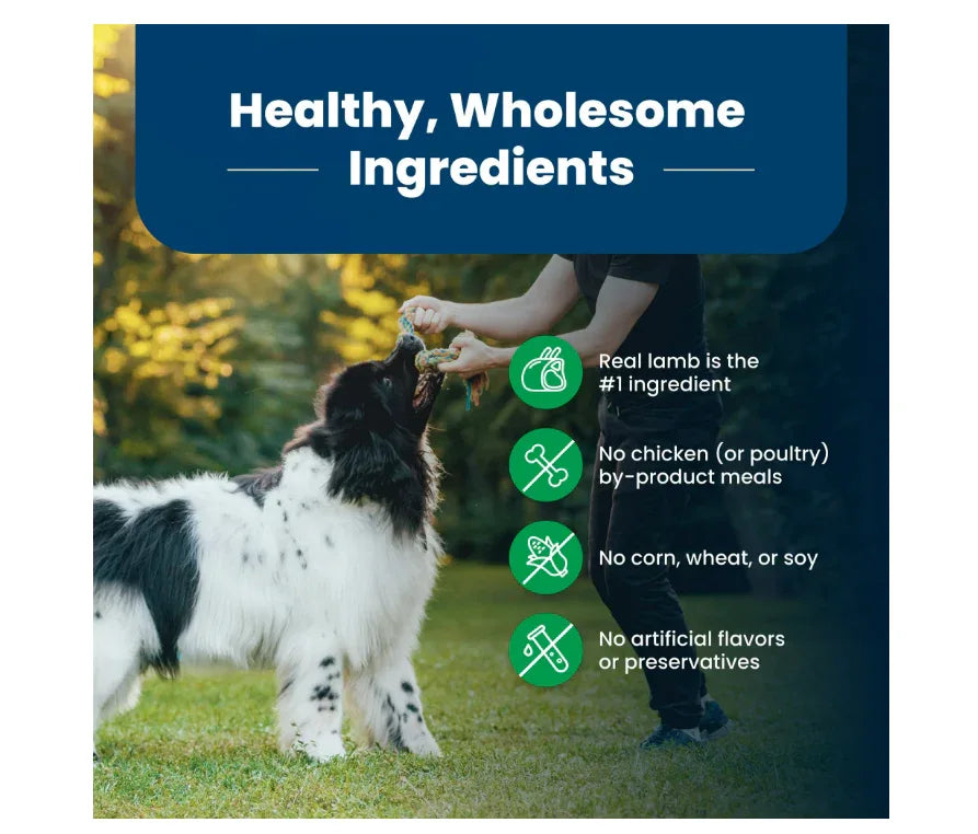 Wholesale Price with free shipping across the USA for Blue Buffalo Life Protection Formula Adult Dry Dog Food, Lamb & Brown Rice, 15 lbs. - Manji Distributors