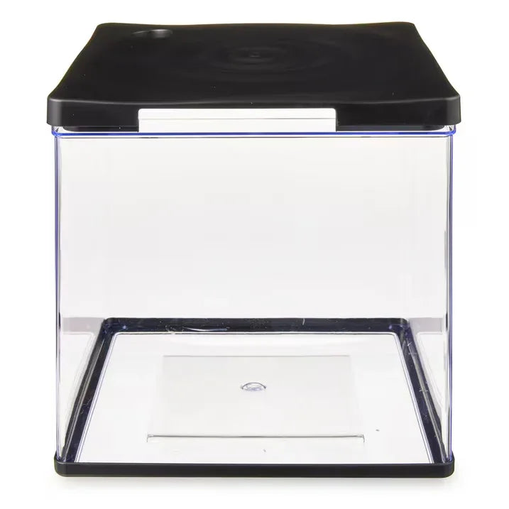 Wholesale Price with free shipping across the USA for Aqua Culture 3 Gallon Transparent Plastic Aquarium,Volume Capacity 3 Gallon - Manji Distributors