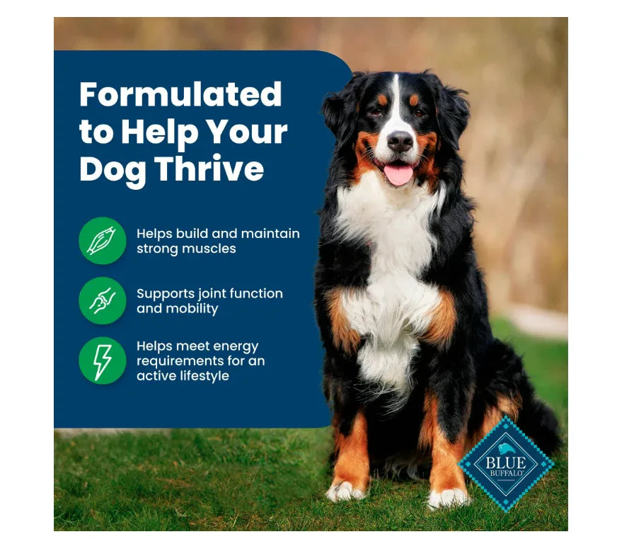 Wholesale Price with free shipping across the USA for Blue Buffalo Life Protection Formula Adult Dry Dog Food, Lamb & Brown Rice, 15 lbs. - Manji Distributors