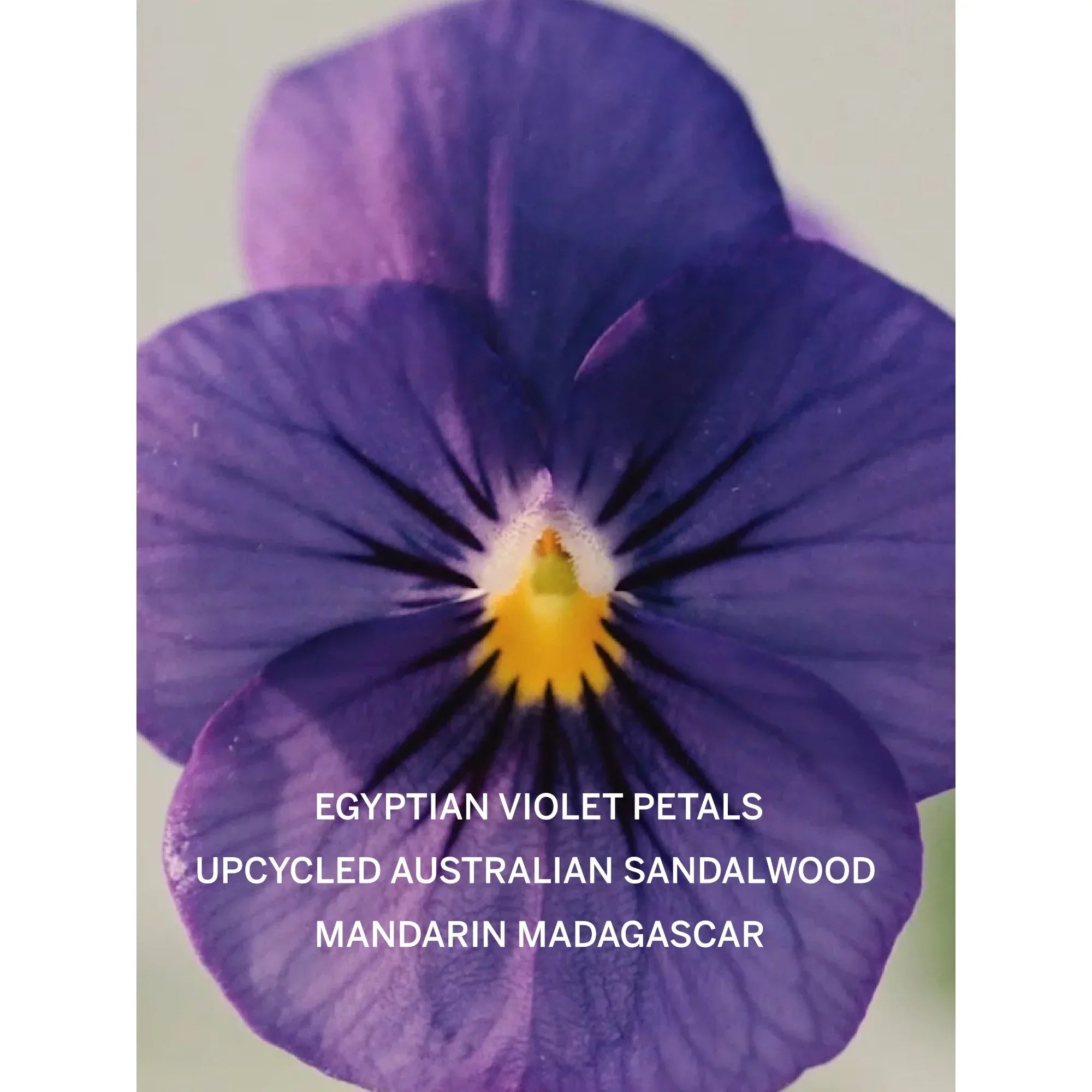 Wholesale Price with free shipping across the USA for Victoria's Secret Bare Fragrance Mist, Notes of Australian Sandalwood, Mandarin Madagascar & Egyptian Violet, Body Spray for Women (8.4 oz) - Manji Distributors