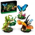Wholesale Price with free shipping across the USA for LEGO Ideas The Insect Collection, Fun Gift for Nature Lovers, with Life-Size Blue Morpho Butterfly, Hercules Beetle and Chinese Mantis Display Models, Bug Building Set and Nature Décor, 21342 - Manji Distributors