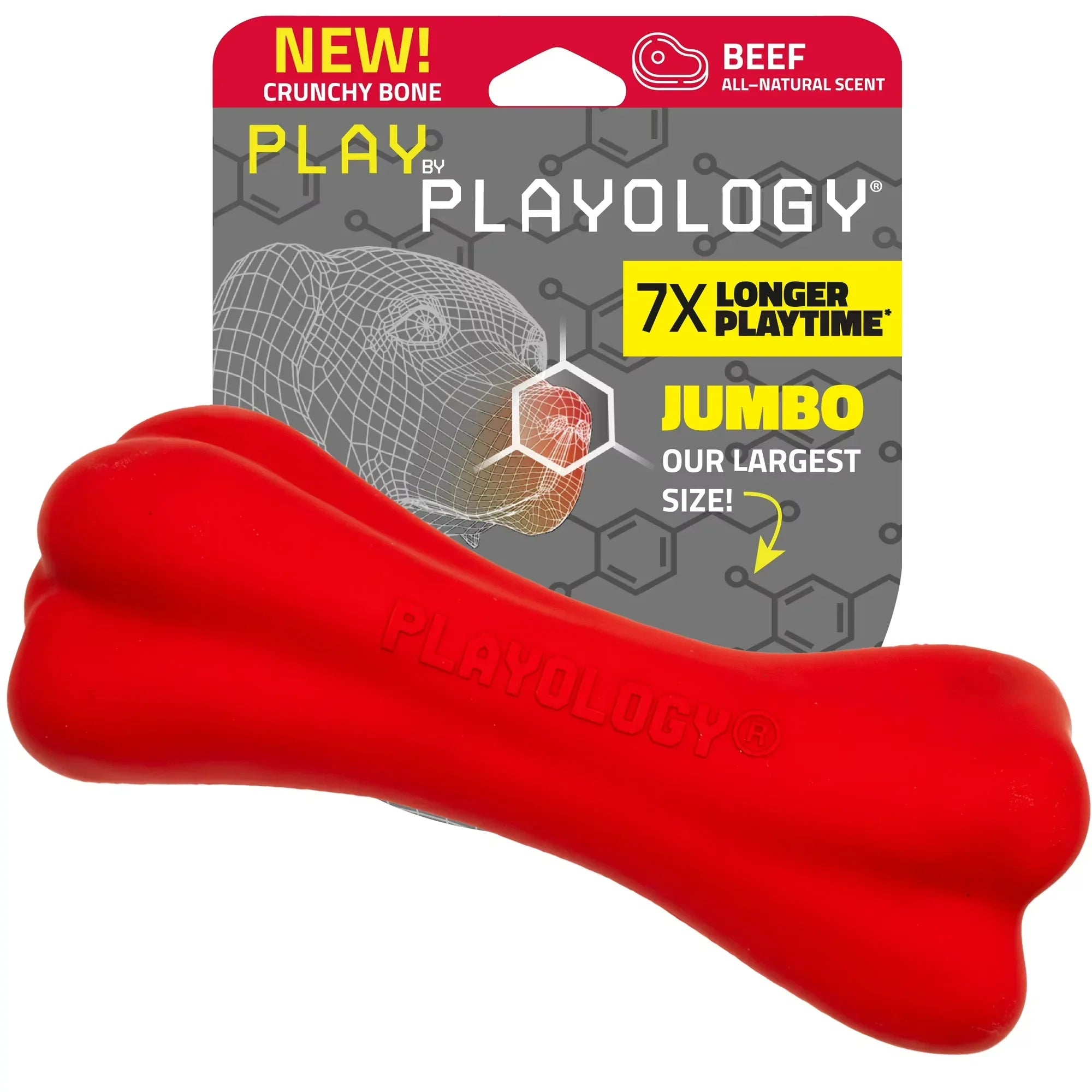 Wholesale Price with free shipping across the USA for Play by Playology Dog Toys | Interactive Dog Toy Bone | Scented Crunchy Bone, Large - Manji Distributors