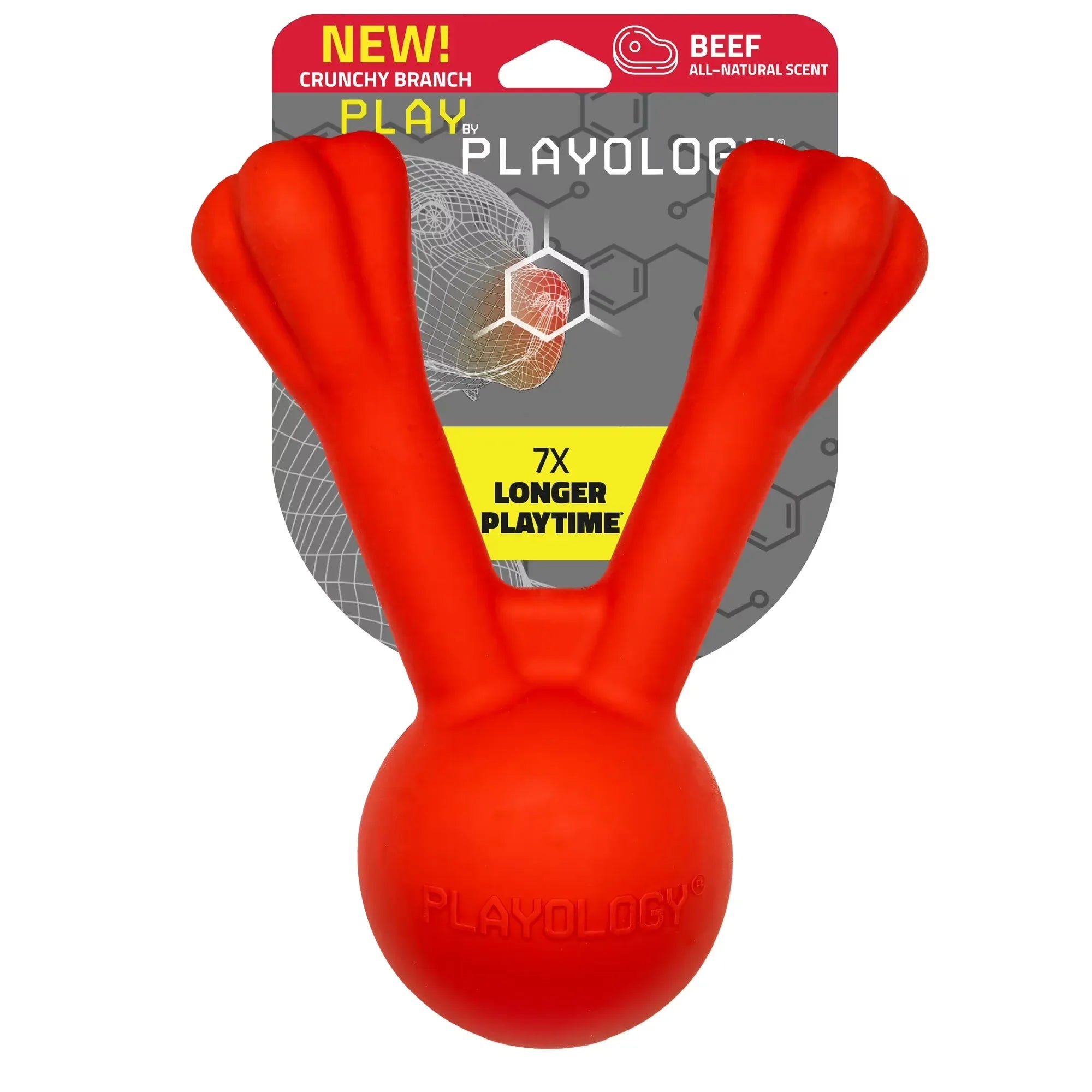 Wholesale Price with free shipping across the USA for Play by Playology Dog Toys | Interactive Dog Toy Stick | Scented Fetch Toy Branch, Large - Manji Distributors