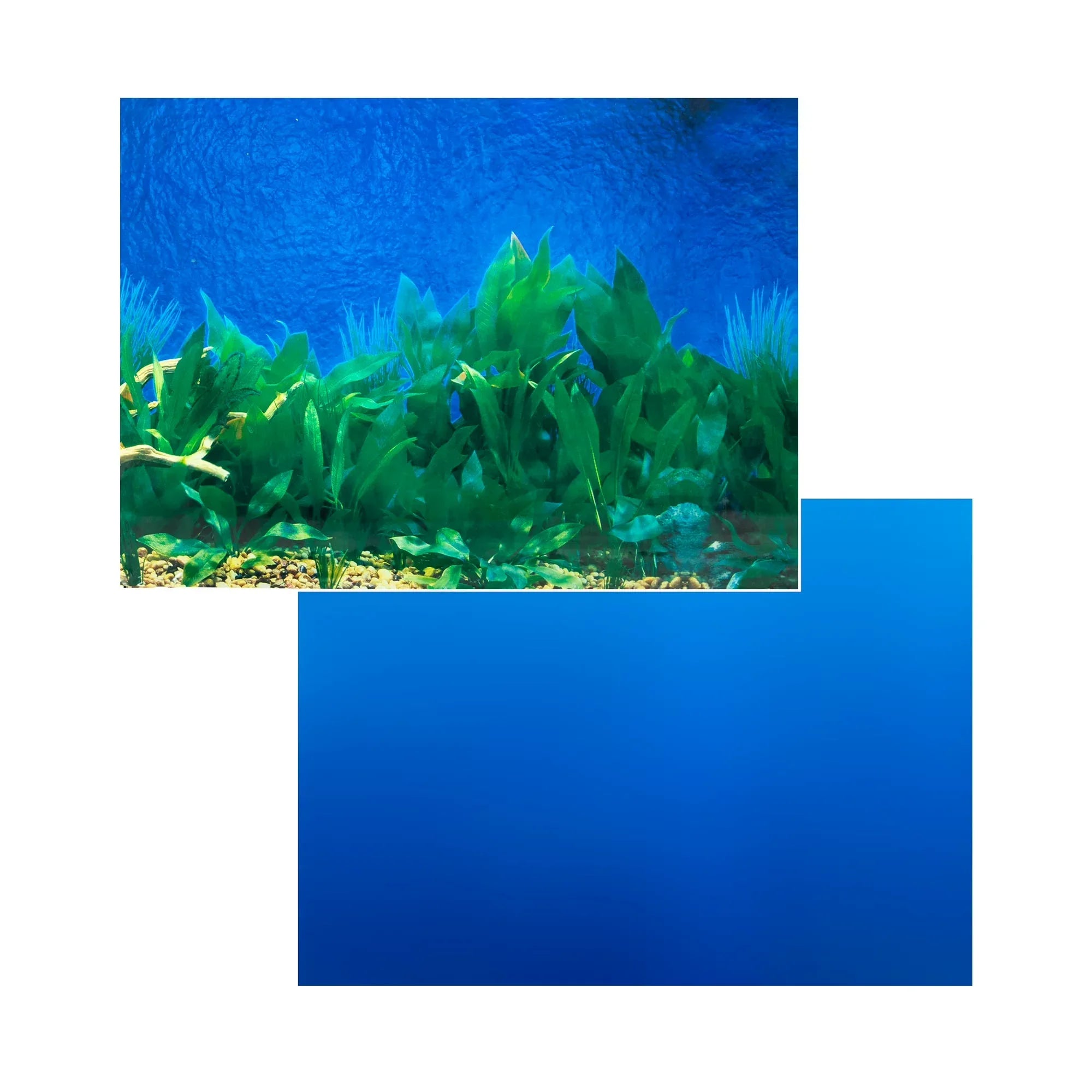 Wholesale Price with free shipping across the USA for Tide & Treasure Double Sided Aquarium Background, Aquatic Plant And Solid Blue, up to 29 Gallon Tank - Manji Distributors