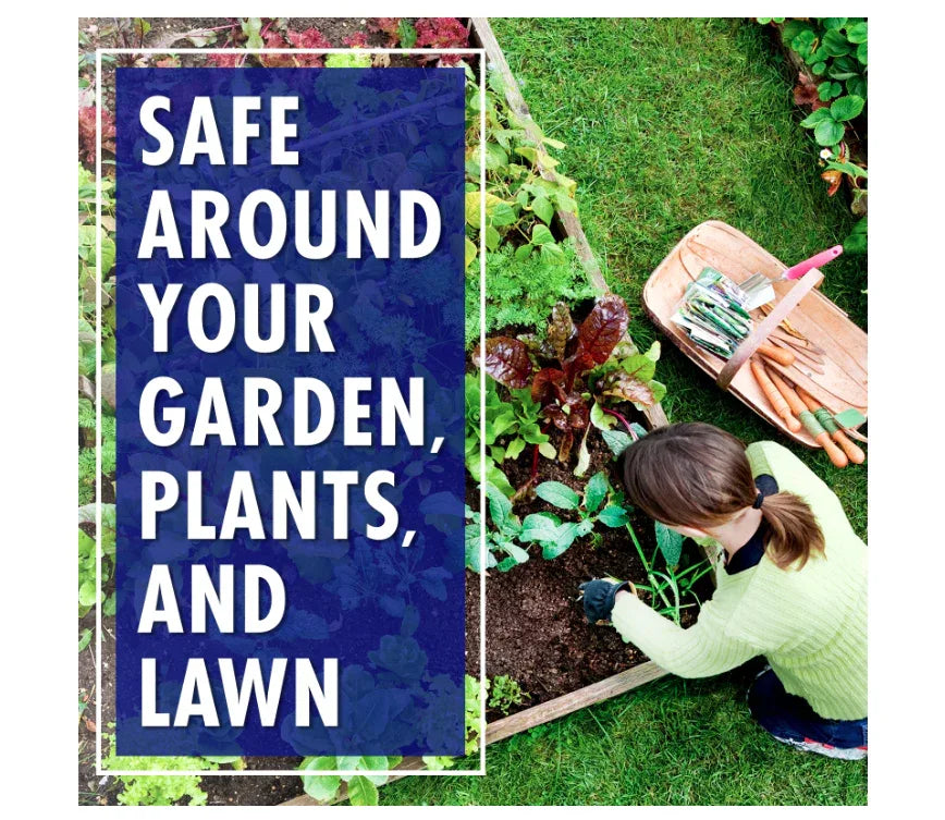 Wholesale Price with free shipping across the USA for 30 SECONDS Outdoor Cleaner - Algae, Mold & Mildew Stain Remover for Concrete, Wood, Patio, Siding Deck - Hose End Spray Bottle 64 fl oz - Manji Distributors