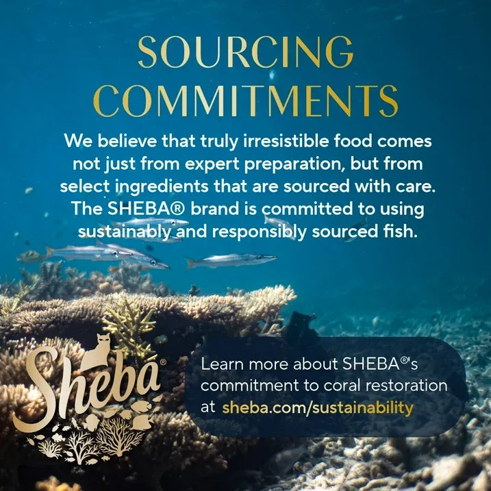 Wholesale Price with free shipping across the USA for (24 pack) Sheba Perfect Portions Cuts In Gravy With Sustainable Salmon Cat Food, 2.6 Oz Twin-Pack Tray - Manji Distributors