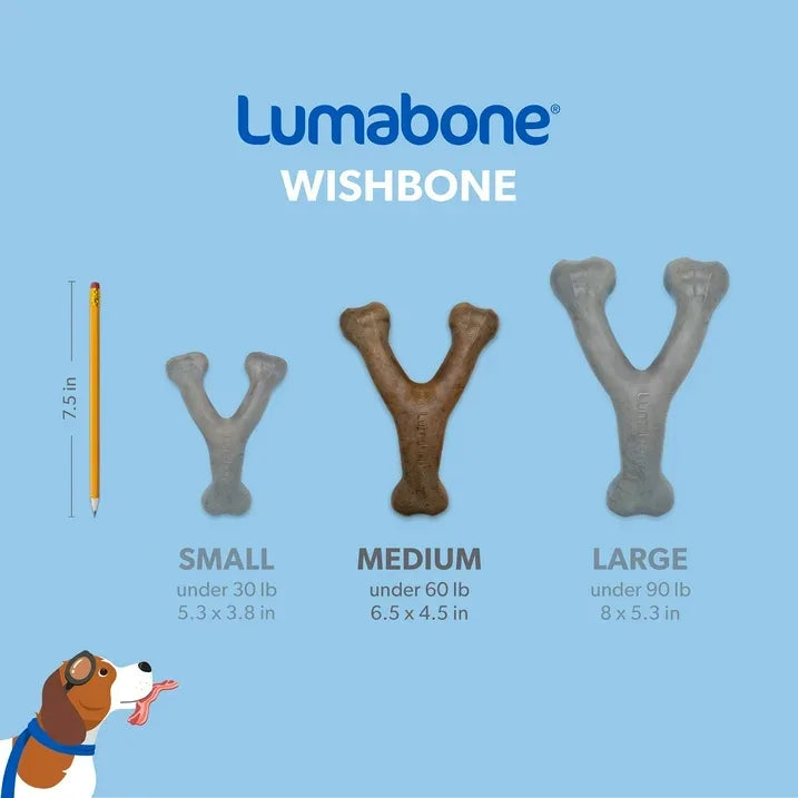 Wholesale Price with free shipping across the USA for Lumabone Real Bacon Durable Wishbone Dog Chew Toy, Medium - Manji Distributors